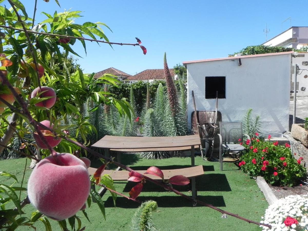 Villa Casa Irma, Great Sea And Mountains Views, Rural House à Costa Adeje  Extérieur photo